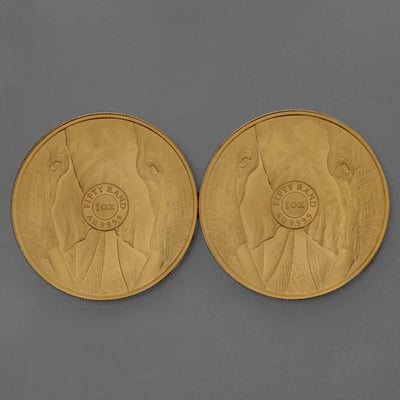 Goldmünze 1oz "Elefant" 2022 Big Five II (Südafrika) - Miniaturansicht 5