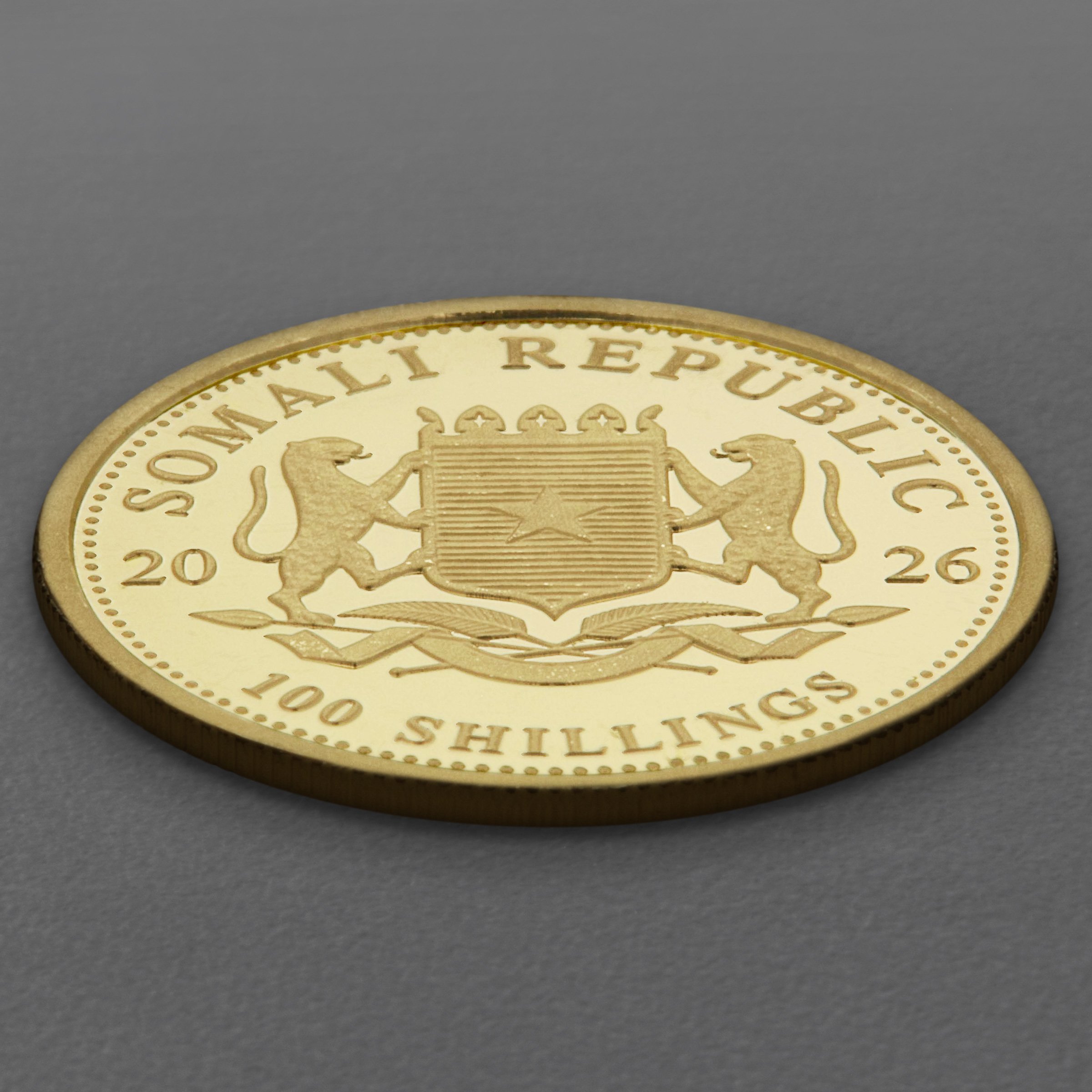 Goldmünze 1/10oz "Elefant" 2026 African Wildlife (Somalia) - Detailansicht 3