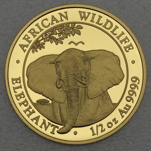Goldmünze 1/2oz "Elefant" 2021 African Wildlife (Somalia) - Hauptansicht