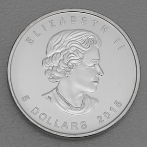 Silbermünze 1oz "Red-tailed Hawk" 2015 Birds of Prey (Kanada) - Miniaturansicht 2