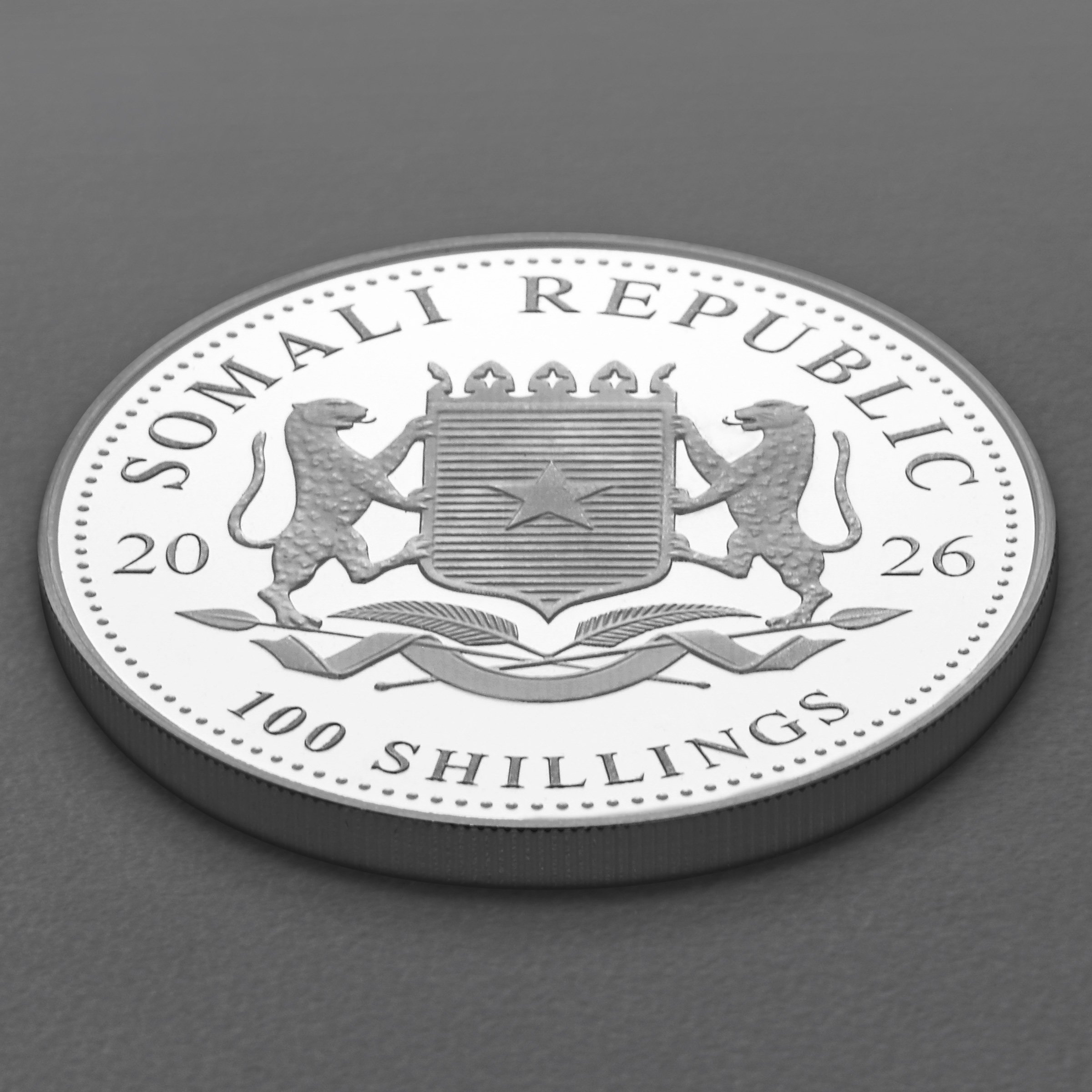 Silbermünze 1oz "Elefant" 2026 African Wildlife 19% (Somalia) - Detailansicht 3