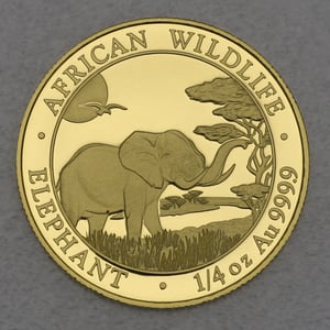 Goldmünze 1/4oz "Elefant" 2019 African Wildlife (Somalia) - Hauptansicht