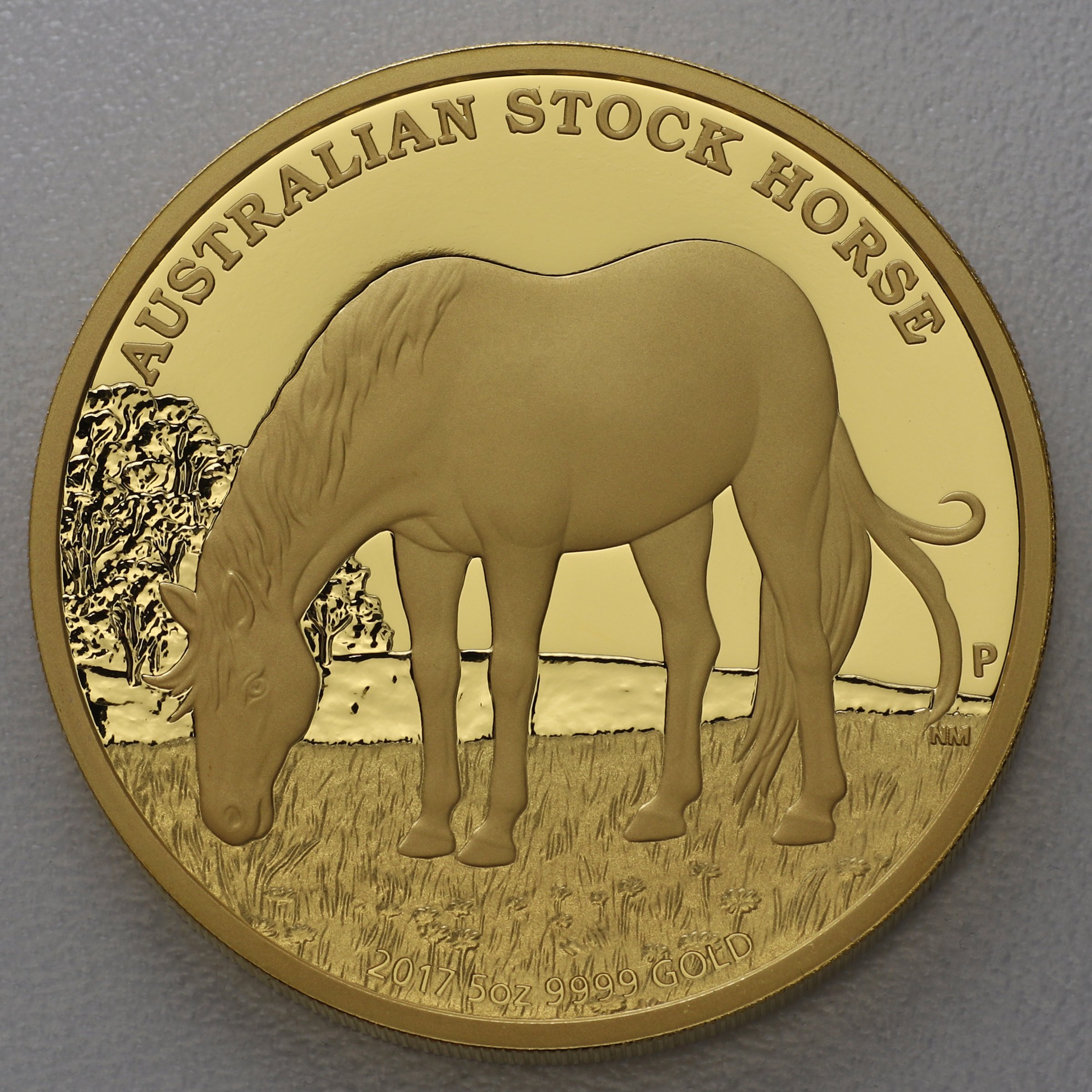 Goldmünze 5oz "Australian Stock Horse" 2017 (PP) Stock Horse (Australien) - Hauptansicht