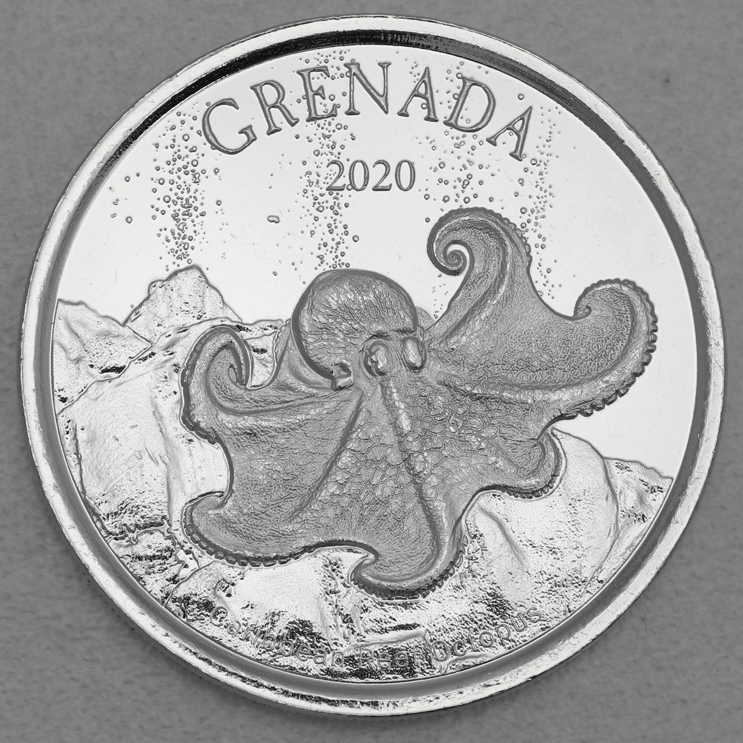 Silbermünze 1oz "Octopus" 2020 Eastern Caribbean 8 (Grenada) - Hauptansicht