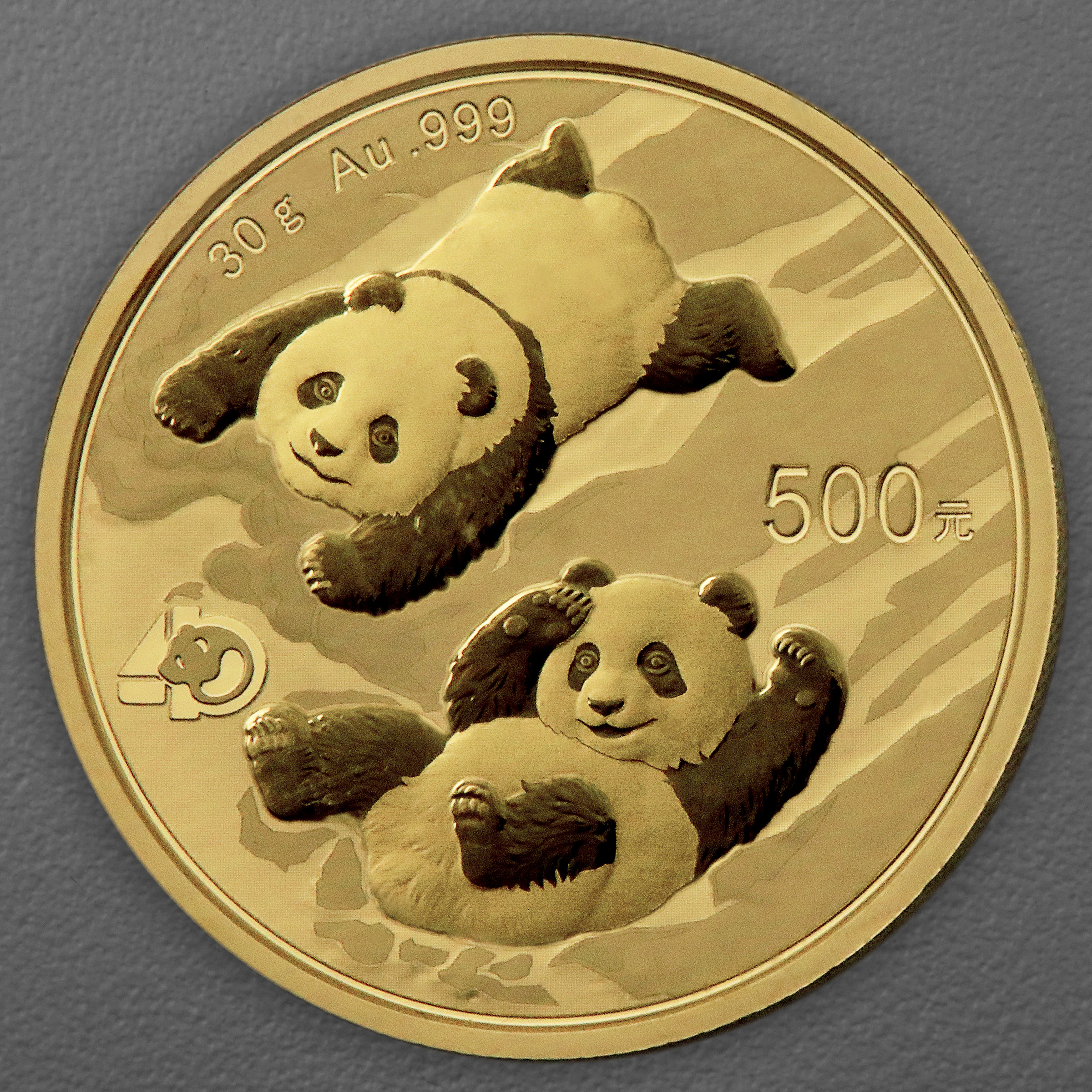 Goldmünze 30g "Panda" 2022 (China) - Hauptansicht