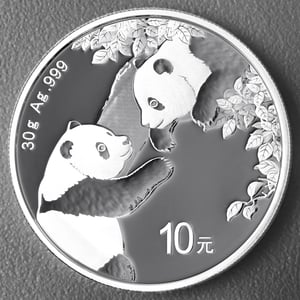 Silbermünze 30g "Panda" 2023 diff. (China) - Miniaturansicht 1