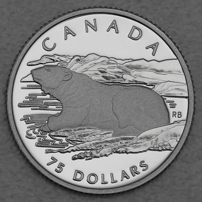 Platinmünzen "Polar Bear" 1990 Wildlife Canada Set – 4-teilig (Kanada) - Miniaturansicht 4