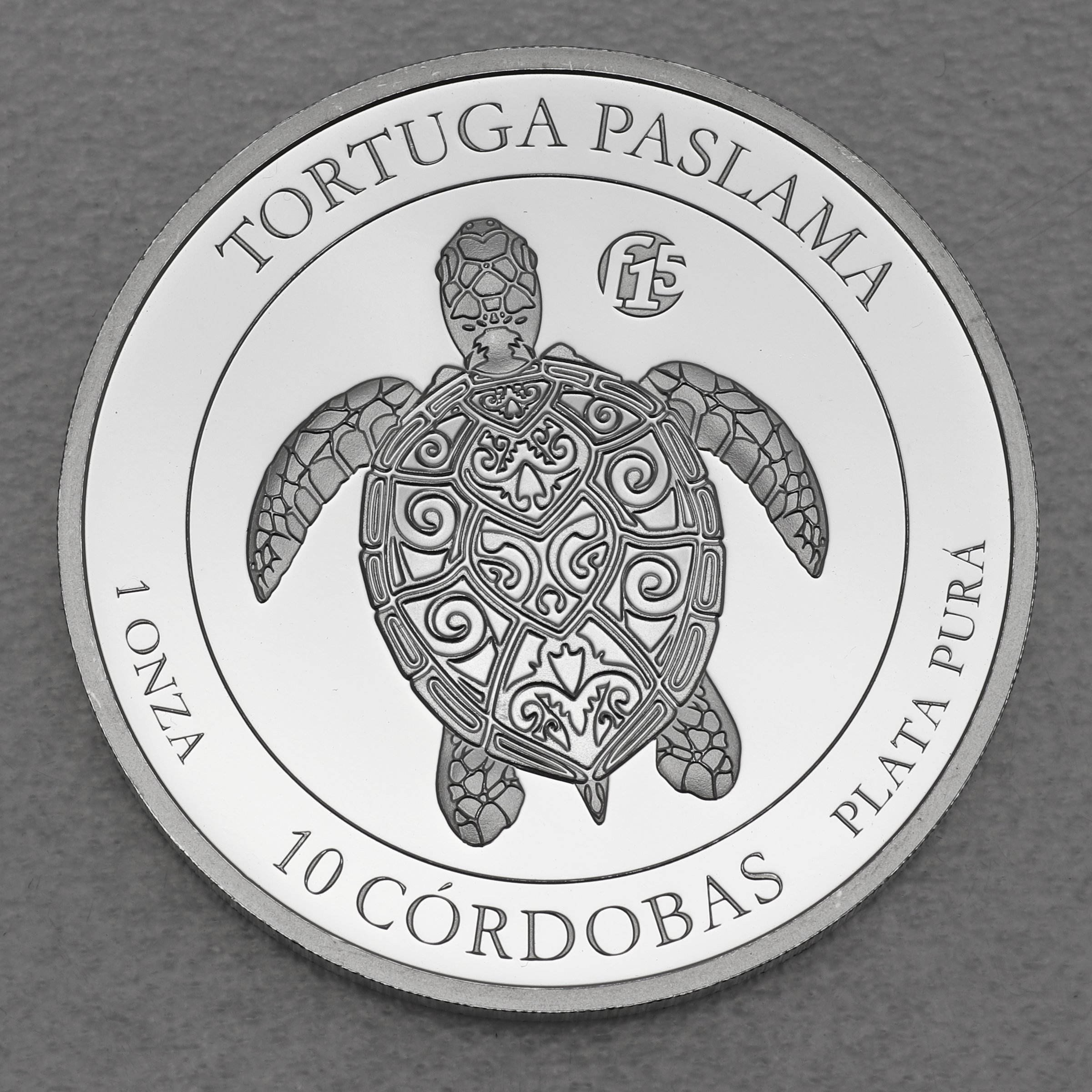 Silbermünze 1oz "Paslama Schildkröte" 2021 (Nicaragua) - Hauptansicht