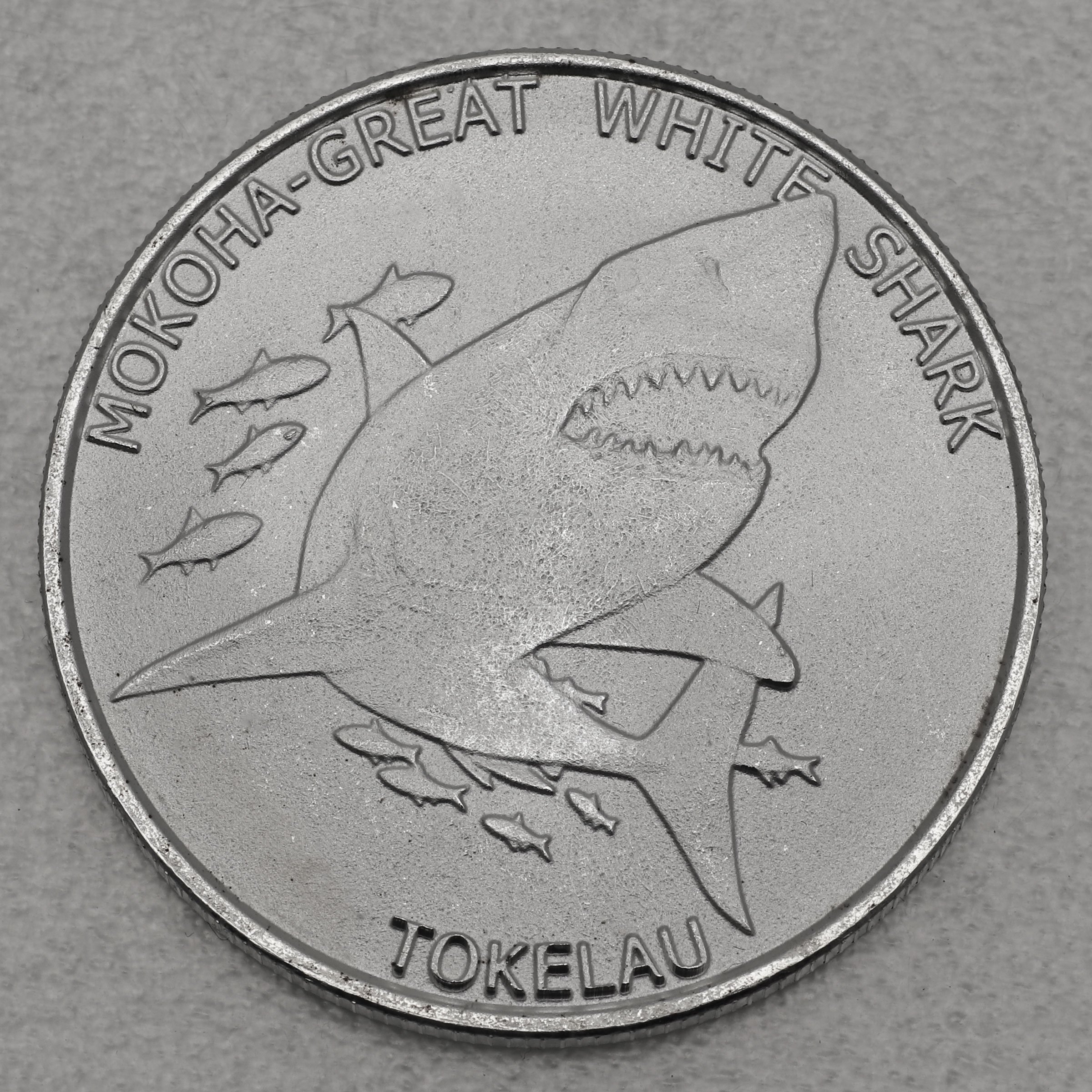 Silbermünze 1oz "Mokoha - Great White Shark" 2015 Territory of Tokelau (Tokelau) - Hauptansicht