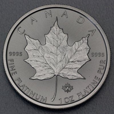 Platinmünze 1oz "Maple Leaf" diff. (Kanada) - Hauptansicht