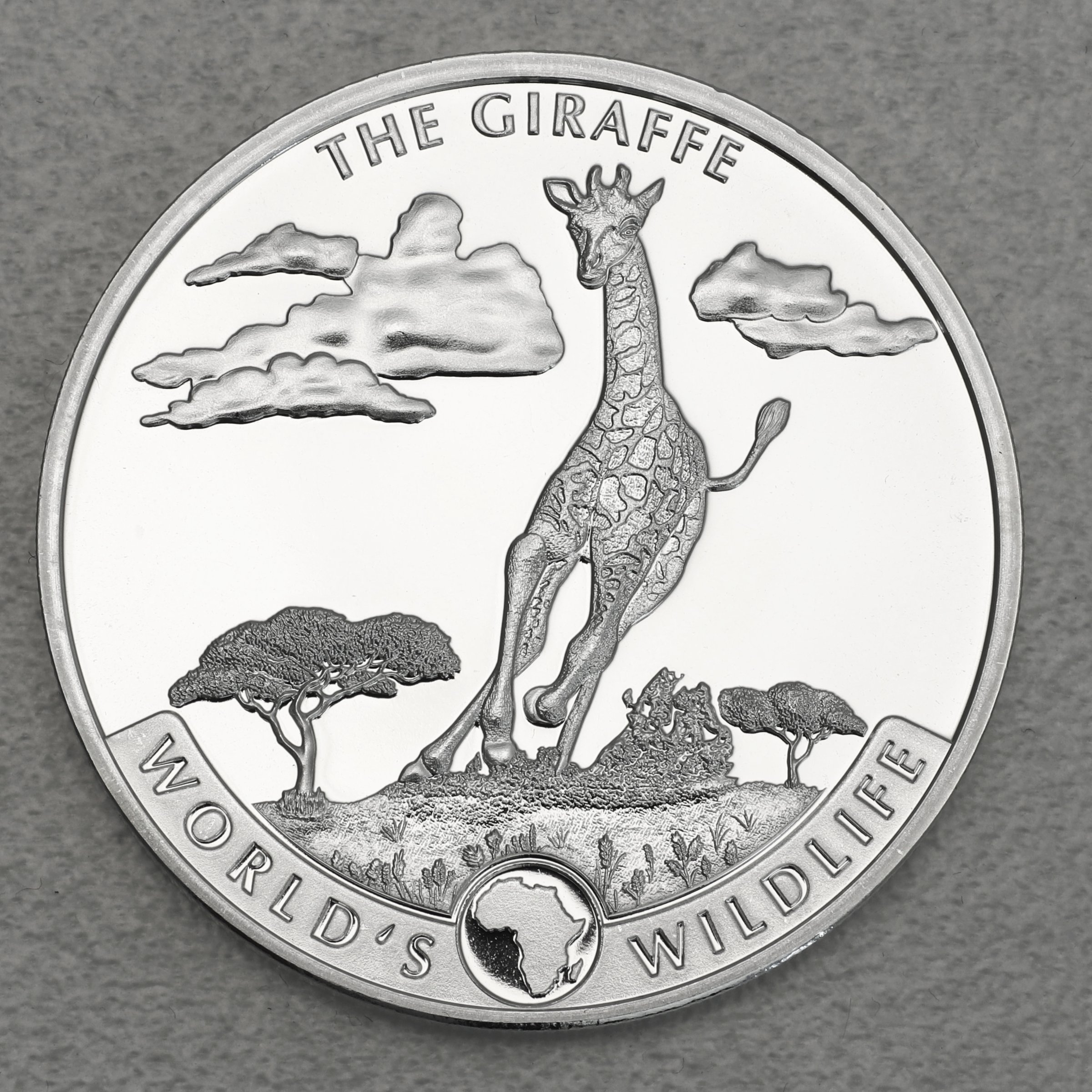 Silbermünze 1oz "Giraffe" 2019 World s Wildlife (Kongo) - Hauptansicht
