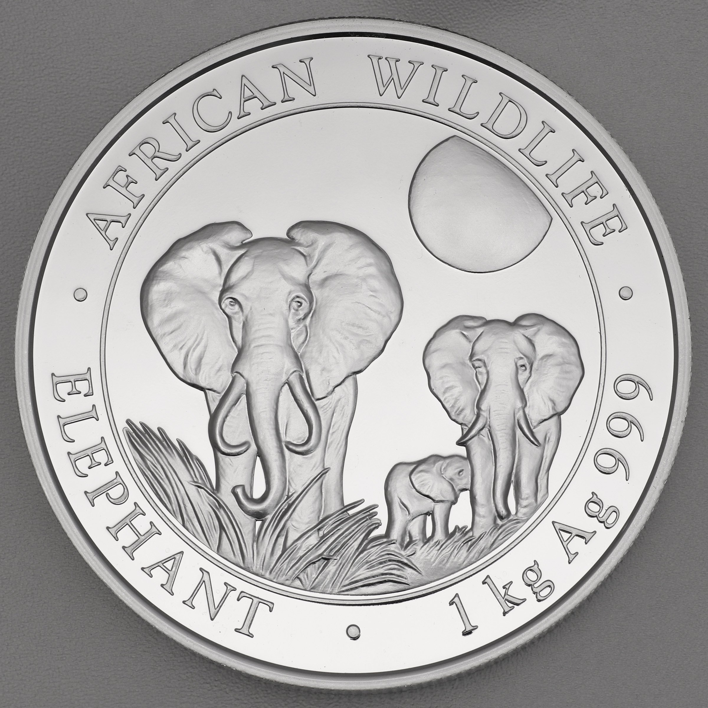 Silbermünze 1kg "Elefant" 2014 African Wildlife (Somalia) - Hauptansicht