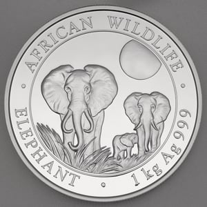 Silbermünze 1kg "Elefant" 2014 African Wildlife (Somalia) - Hauptansicht