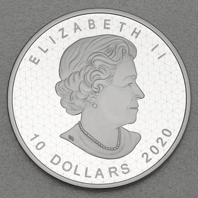 Silbermünze 2oz "Pulsating Maple Leaf" 2020 (Kanada) - Miniaturansicht 2