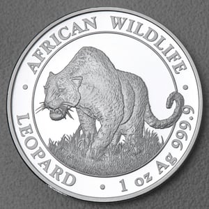 Silbermünze 1oz "Leopard" 2023 African Wildlife diff. (Somalia) - Hauptansicht