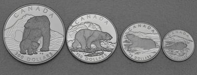 Platinmünzen "Polar Bear" 1990 Wildlife Canada Set – 4-teilig (Kanada) - Miniaturansicht 1
