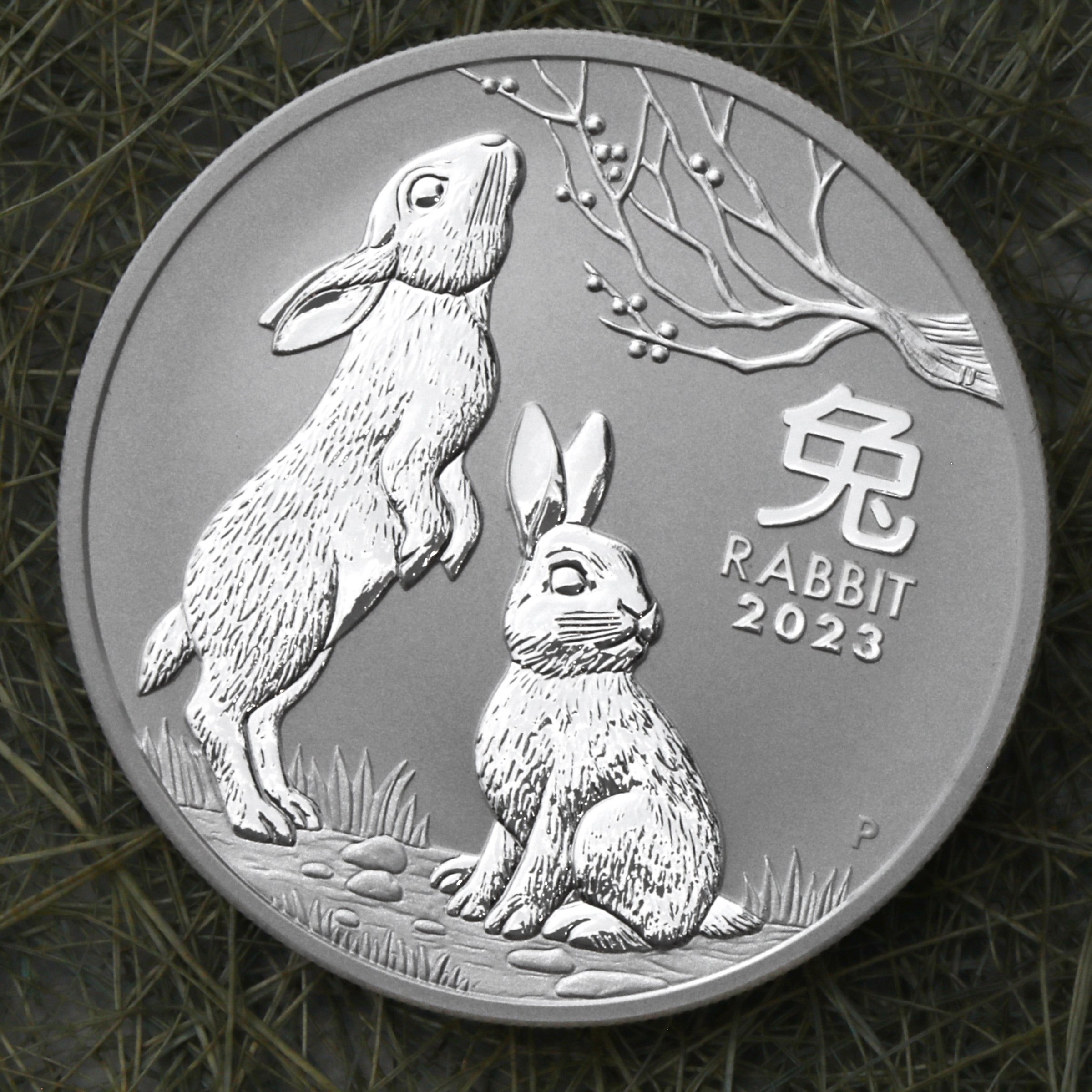 Silbermünze 1oz "Hase" 2023 Lunar III – Year of the Rabbit diff. (Australien) - Detailansicht 4