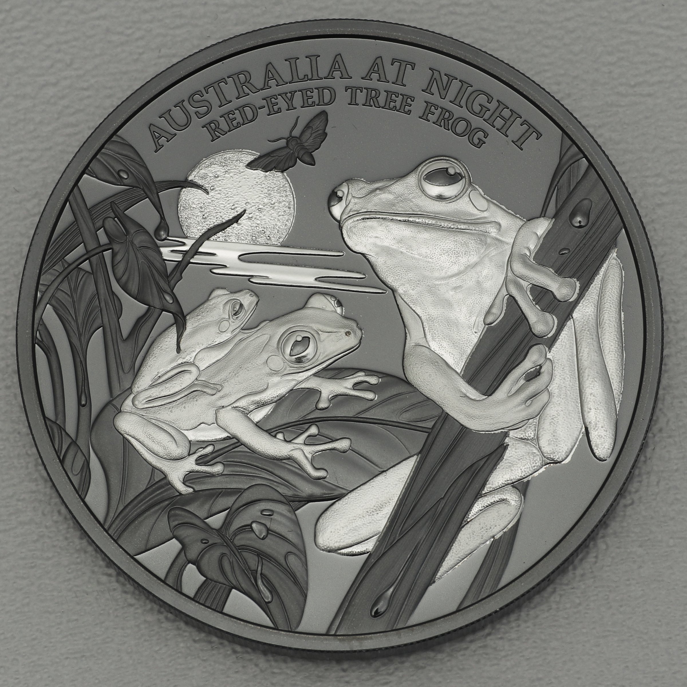 Silbermünze 1oz "Red-Eyed Tree Frog" 2024 Australia at Night (Niue) - Hauptansicht