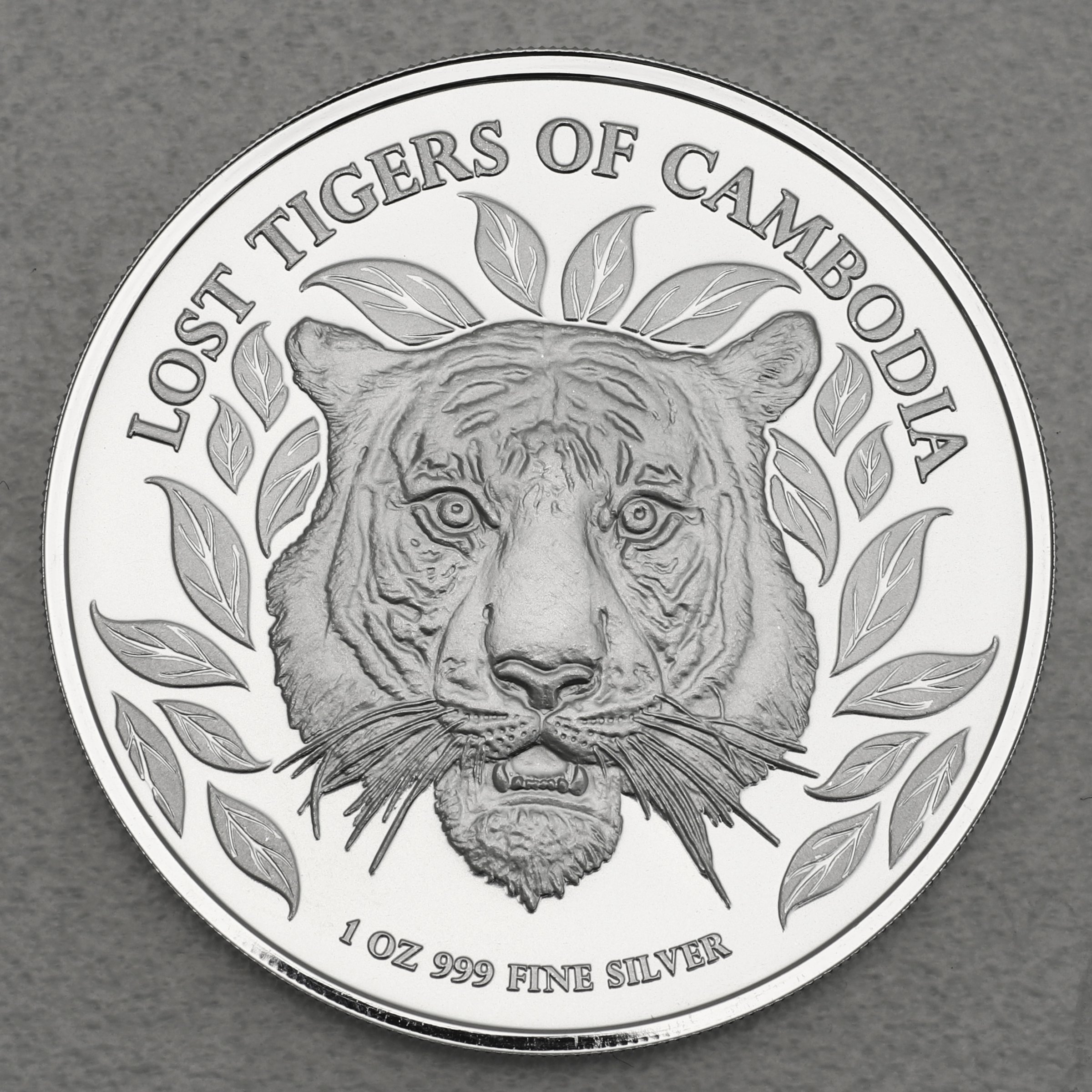 Silbermünze 1oz "Lost Tigers of Cambodia" 2022 (Kambodscha) - Hauptansicht