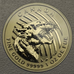 Goldmünze 1oz "Growling Cougar" 2015 Call of the wild (Kanada) - Hauptansicht