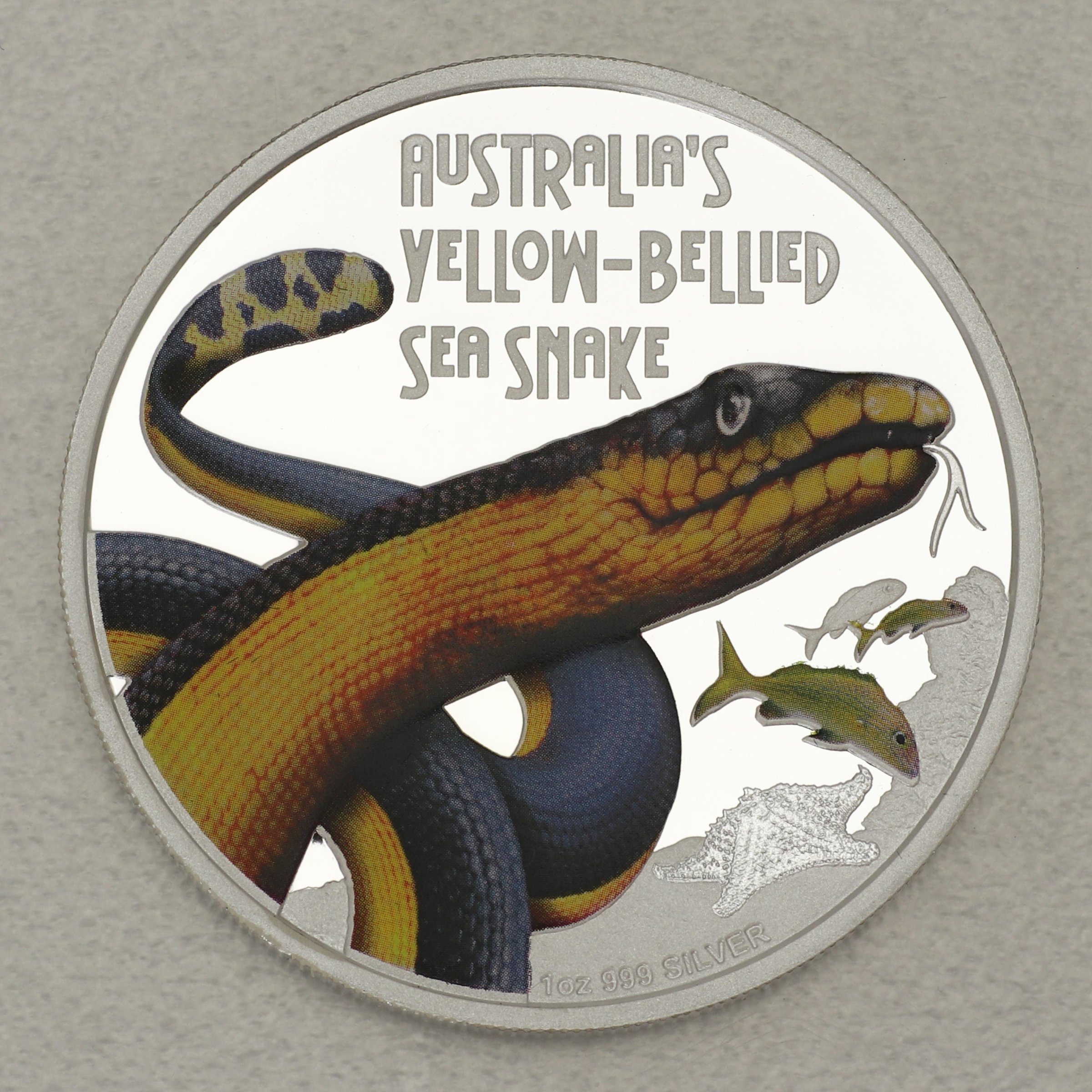 Silbermünze 1oz "Yellow-Bellied Sea Snake" 2013 (PP/koloriert) Deadly and Dangerous (Tuvalu) - Hauptansicht