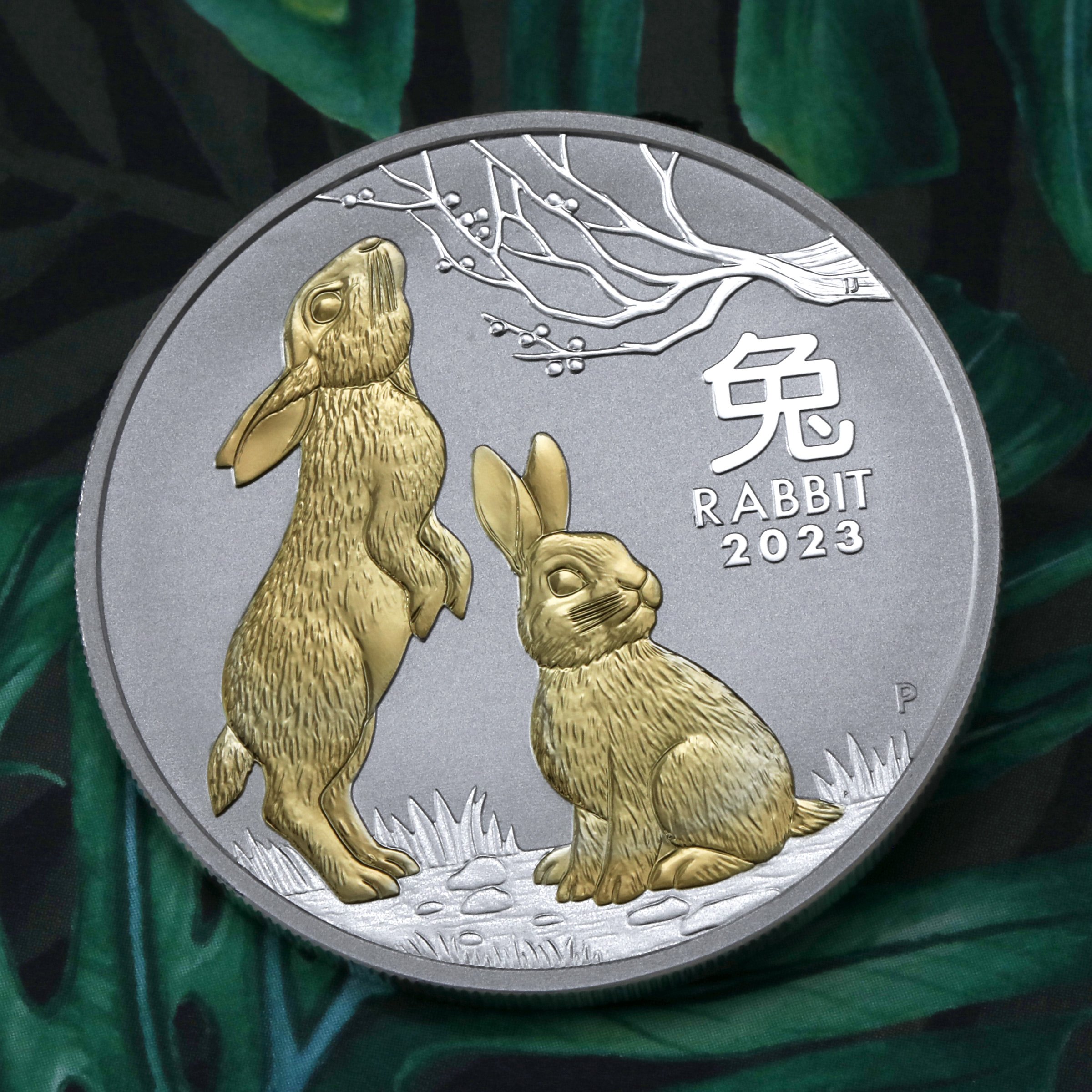 Silbermünze 1oz "Hase" 2023 (vergoldet) Lunar III – Year of the Rabbit 19% (Australien) - Detailansicht 4