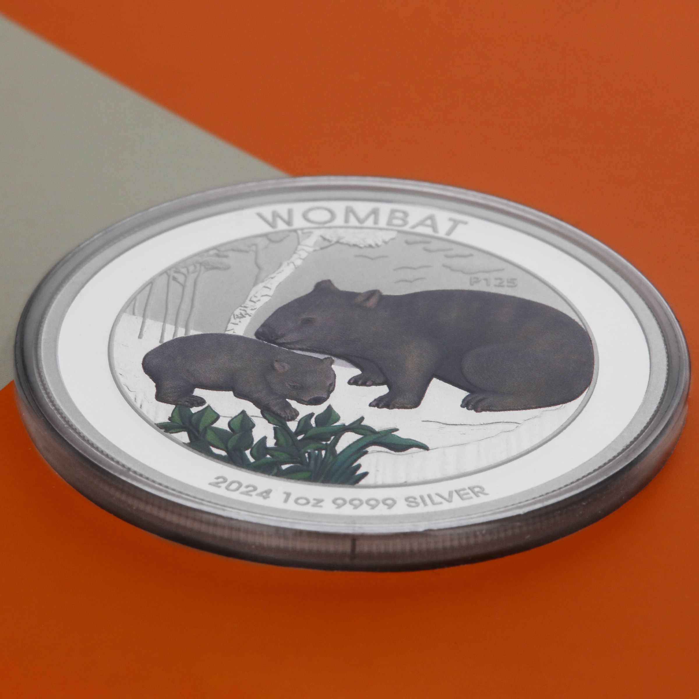 Silbermünze 1oz "Wombat" 2024 (koloriert) (Australien) - Detailansicht 4