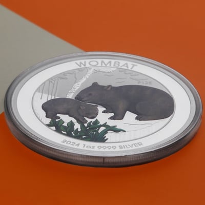 Silbermünze 1oz "Wombat" 2024 (koloriert) (Australien) - Miniaturansicht 5
