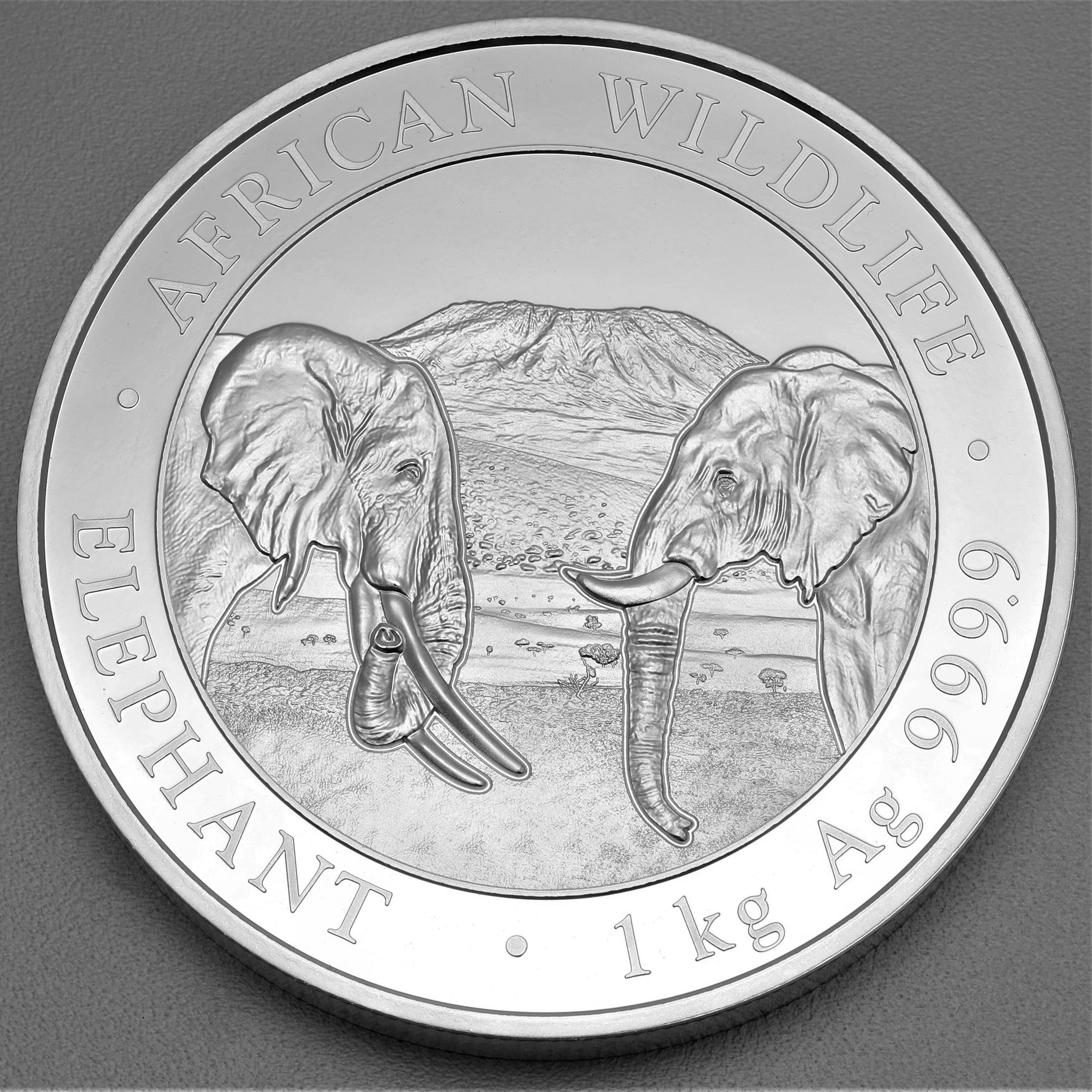Silbermünze 1kg "Elefant" 2020 African Wildlife (Somalia) - Hauptansicht