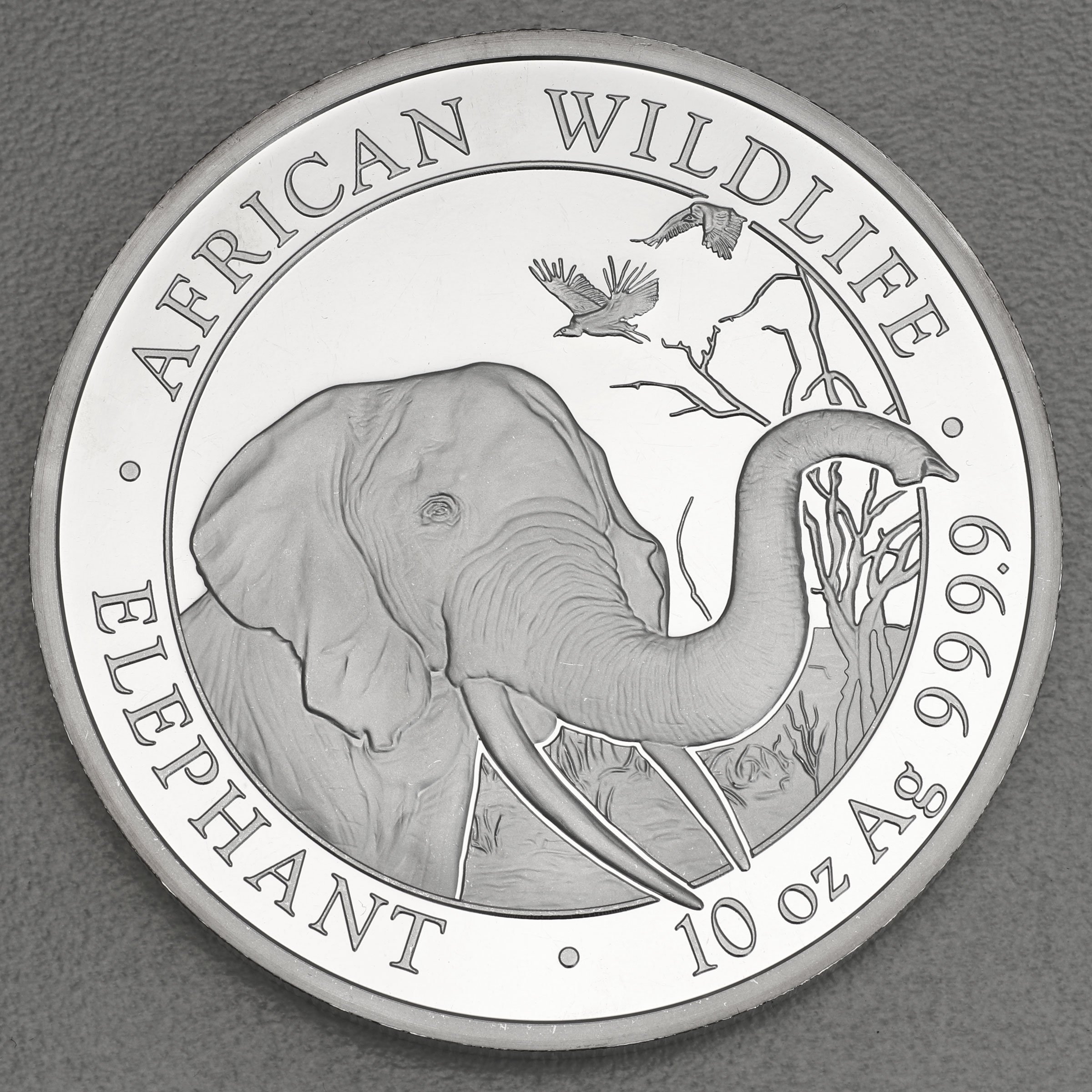 Silbermünze 10oz "Elefant" 2018 African Wildlife (Somalia) - Hauptansicht