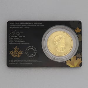 Goldmünze 1oz "Prospecting for Gold" 2022 Klondike Gold Rush (Kanada) - Miniaturansicht 2