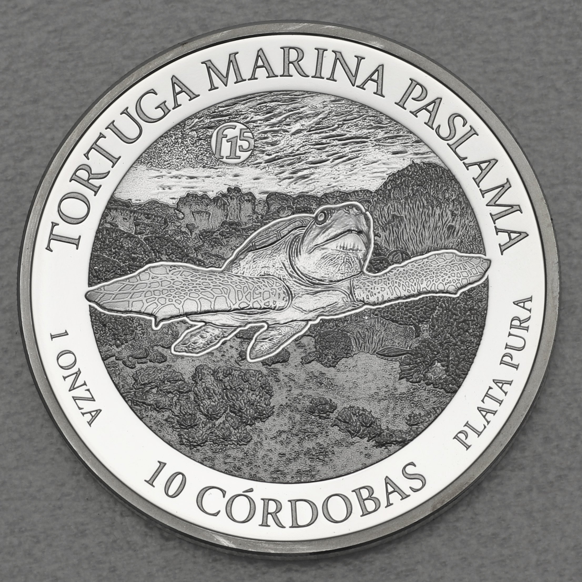 Silbermünze 1oz "Paslama Schildkröte" 2016 (Nicaragua) - Hauptansicht