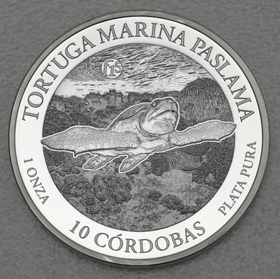 Silbermünze 1oz "Paslama Schildkröte" 2016 (Nicaragua) - Miniaturansicht 1