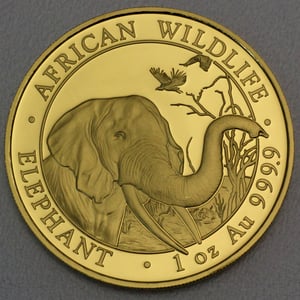 Goldmünze 1oz "Elefant" 2018 African Wildlife (Somalia) - Hauptansicht