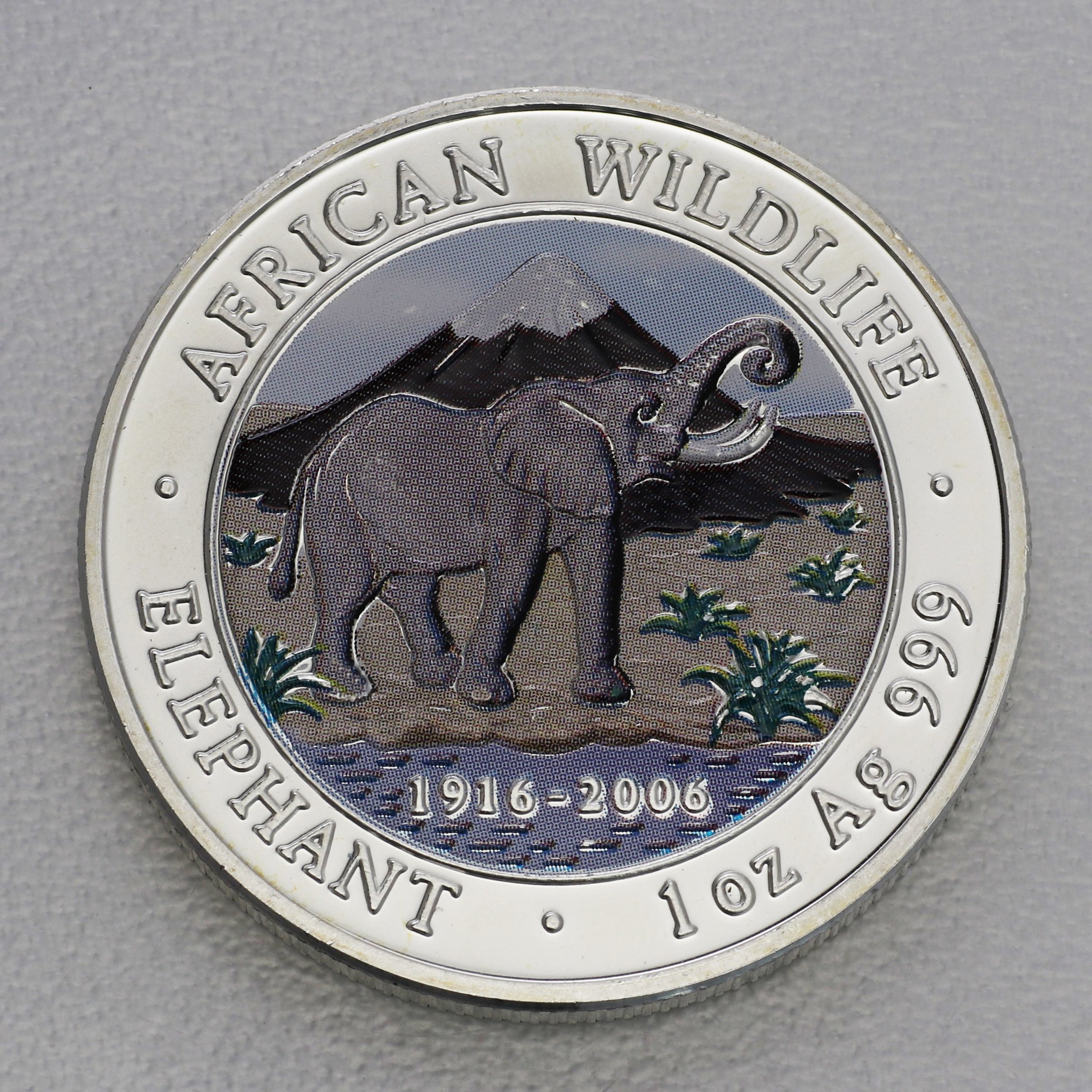Silbermünze 1oz "Elefant" 2006 (koloriert) African Wildlife (Somalia) - Hauptansicht