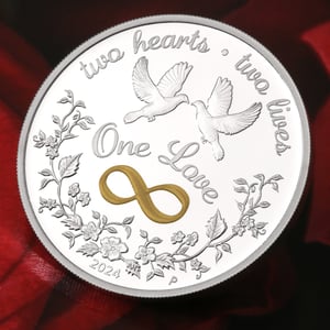Silbermünze 1oz "One Love" 2024 (PP/koloriert) (Australien) - Miniaturansicht 5