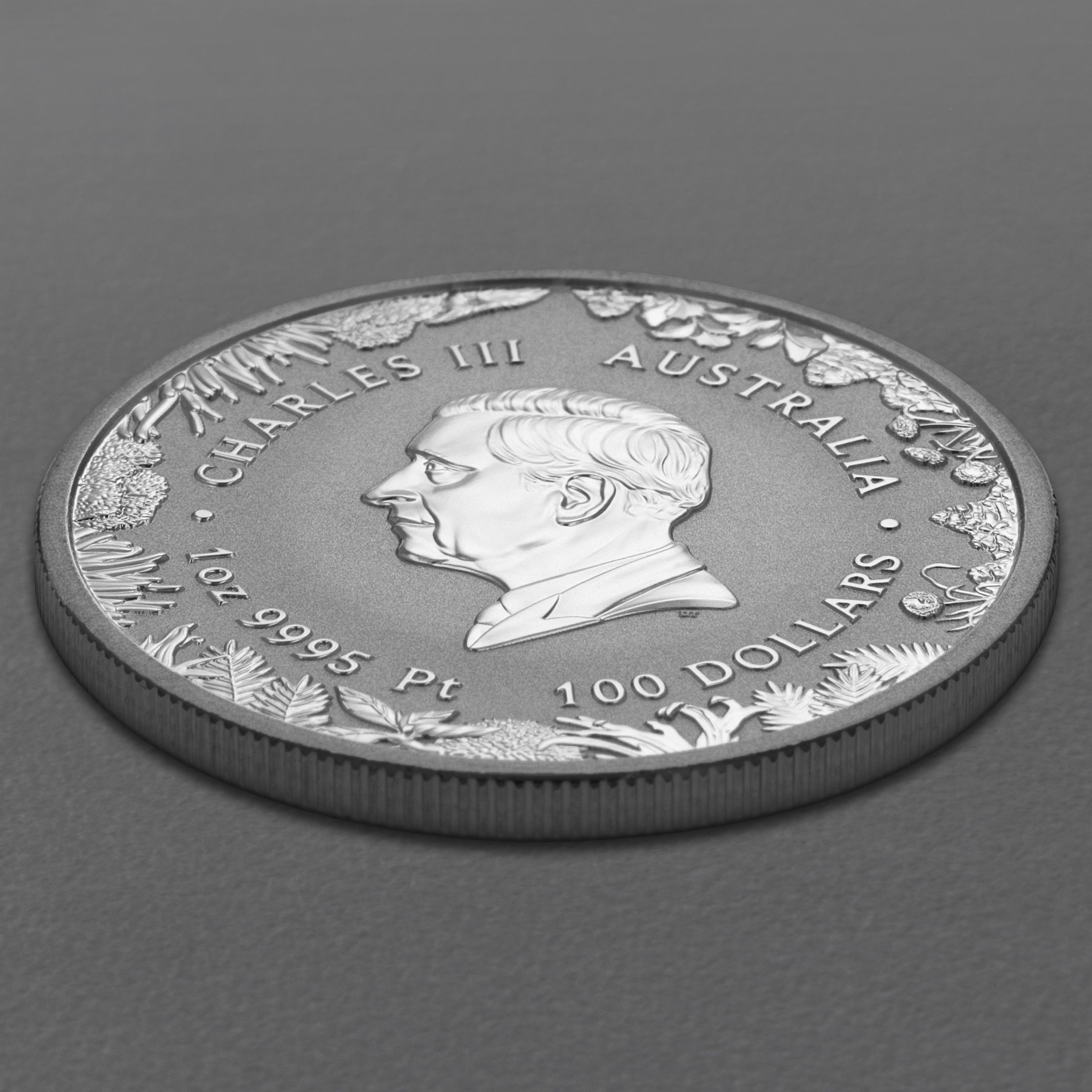 Platinmünze 1oz "The Outback" 2026 Wonders of Australia 19% (Australien) - Detailansicht 3