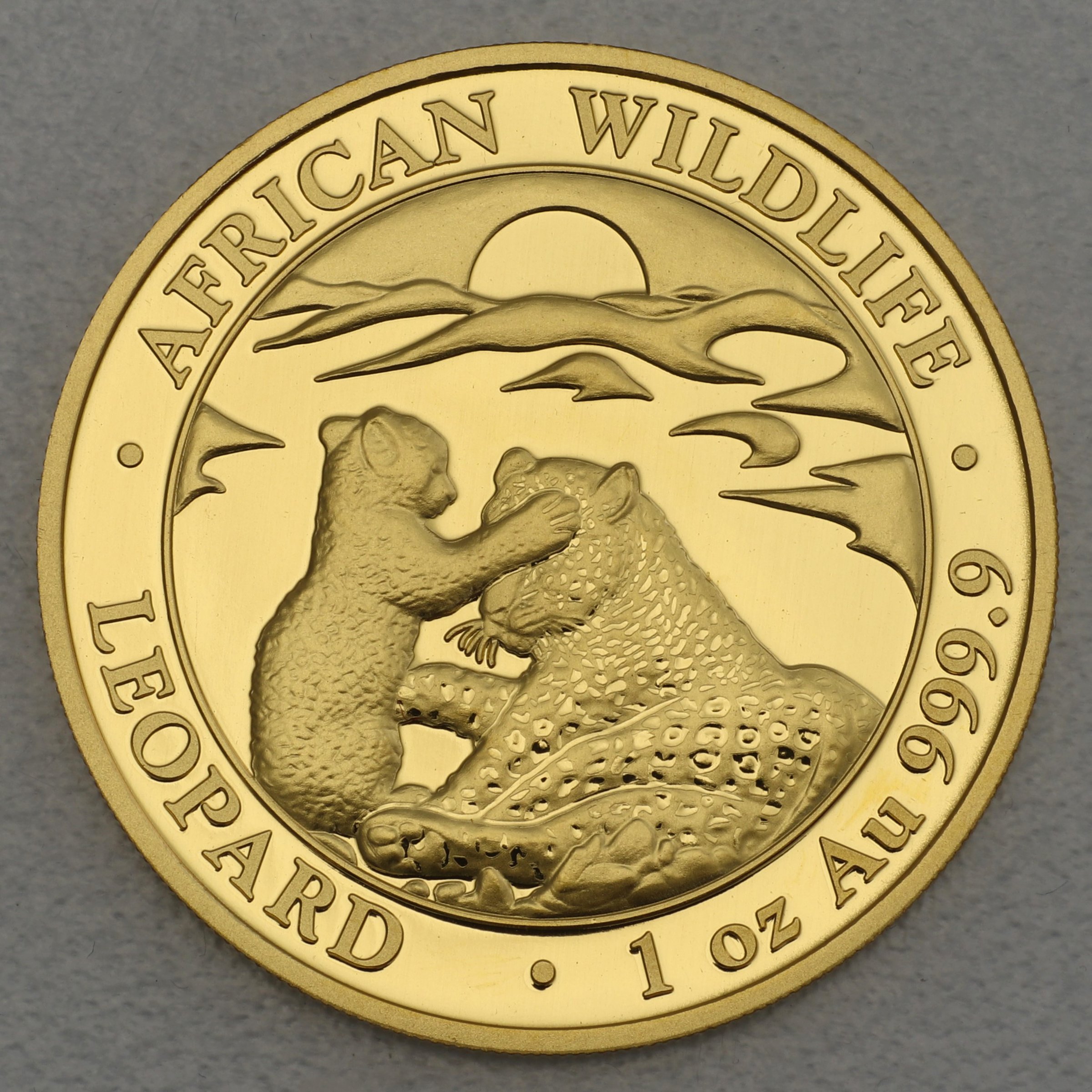 Goldmünze 1oz "Leopard" 2019 African Wildlife (Somalia) - Hauptansicht