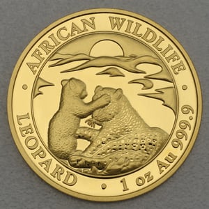 Goldmünze 1oz "Leopard" 2019 African Wildlife (Somalia) - Hauptansicht