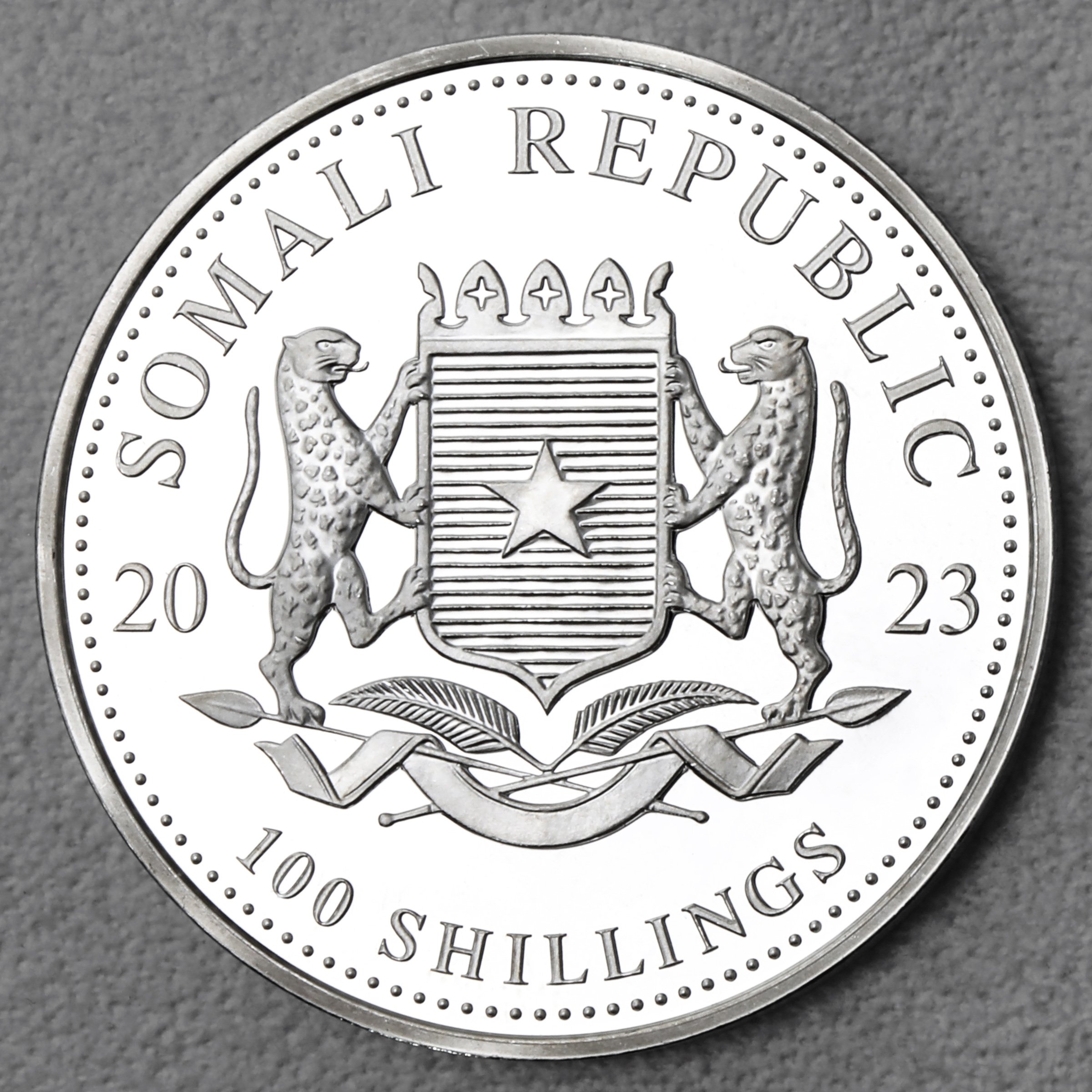 Silbermünze 1oz "Elefant" 2023 African Wildlife diff. (Somalia) - Detailansicht 1