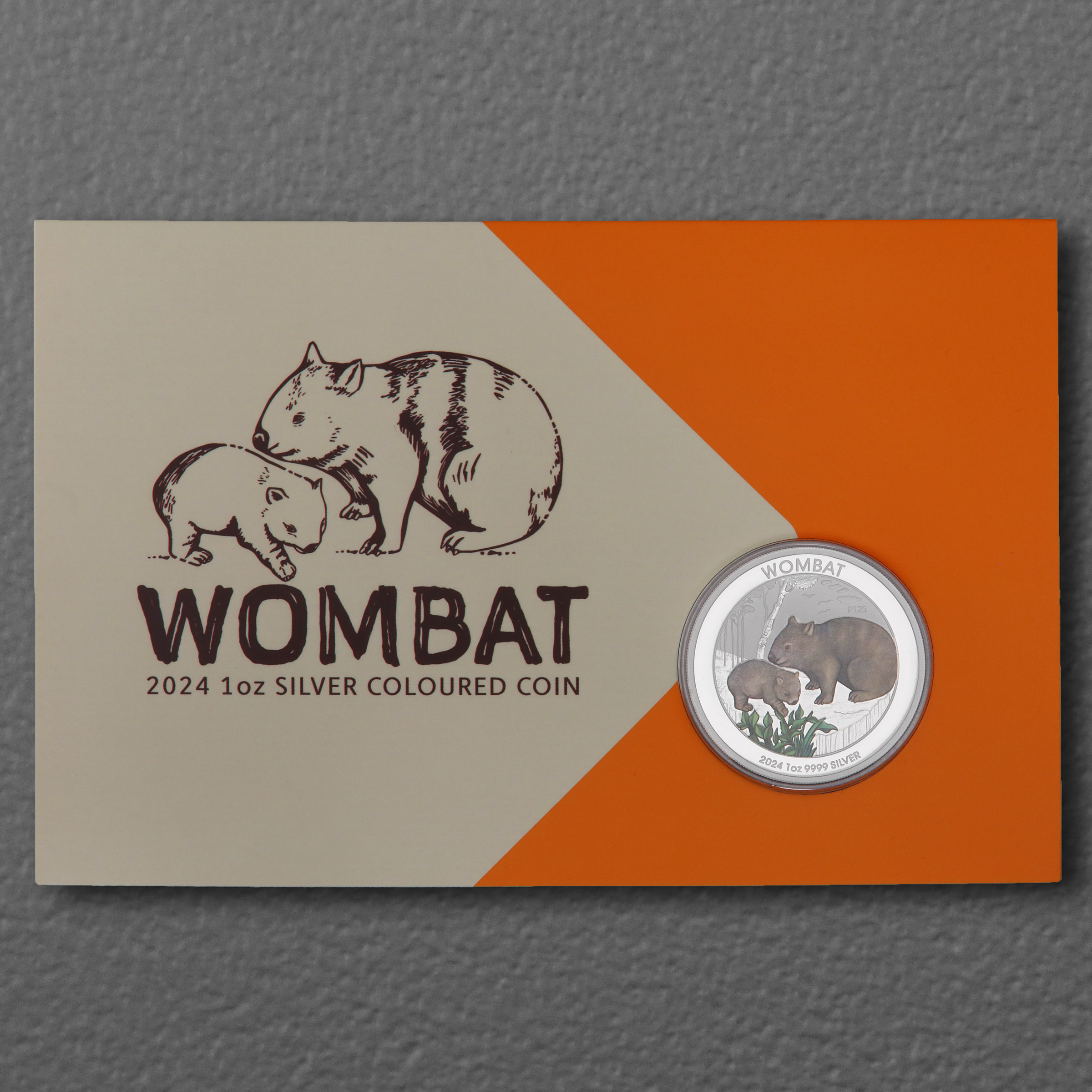 Silbermünze 1oz "Wombat" 2024 (koloriert) (Australien) - Detailansicht 2