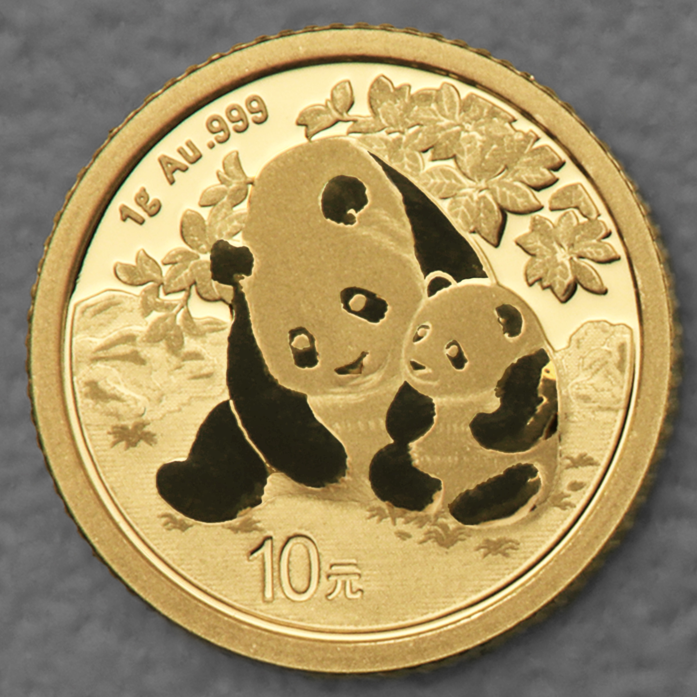 Goldmünze 1g "Panda" 2024 (China) - Hauptansicht