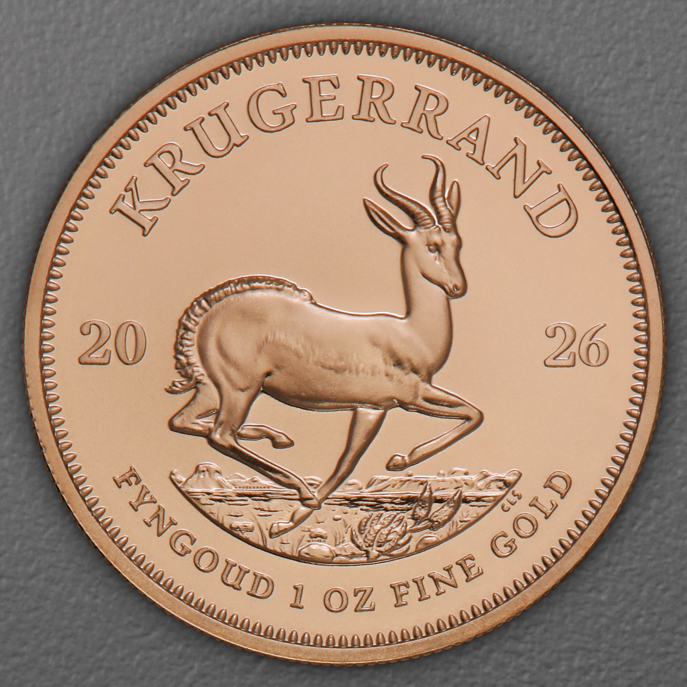 Goldmünze 1oz "Krügerrand" aktueller Jahrgang (Südafrika) - Hauptansicht