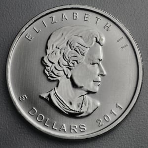 Silbermünze 1oz "Grizzly" 2011 Wildlife Canada (Kanada) - Miniaturansicht 2