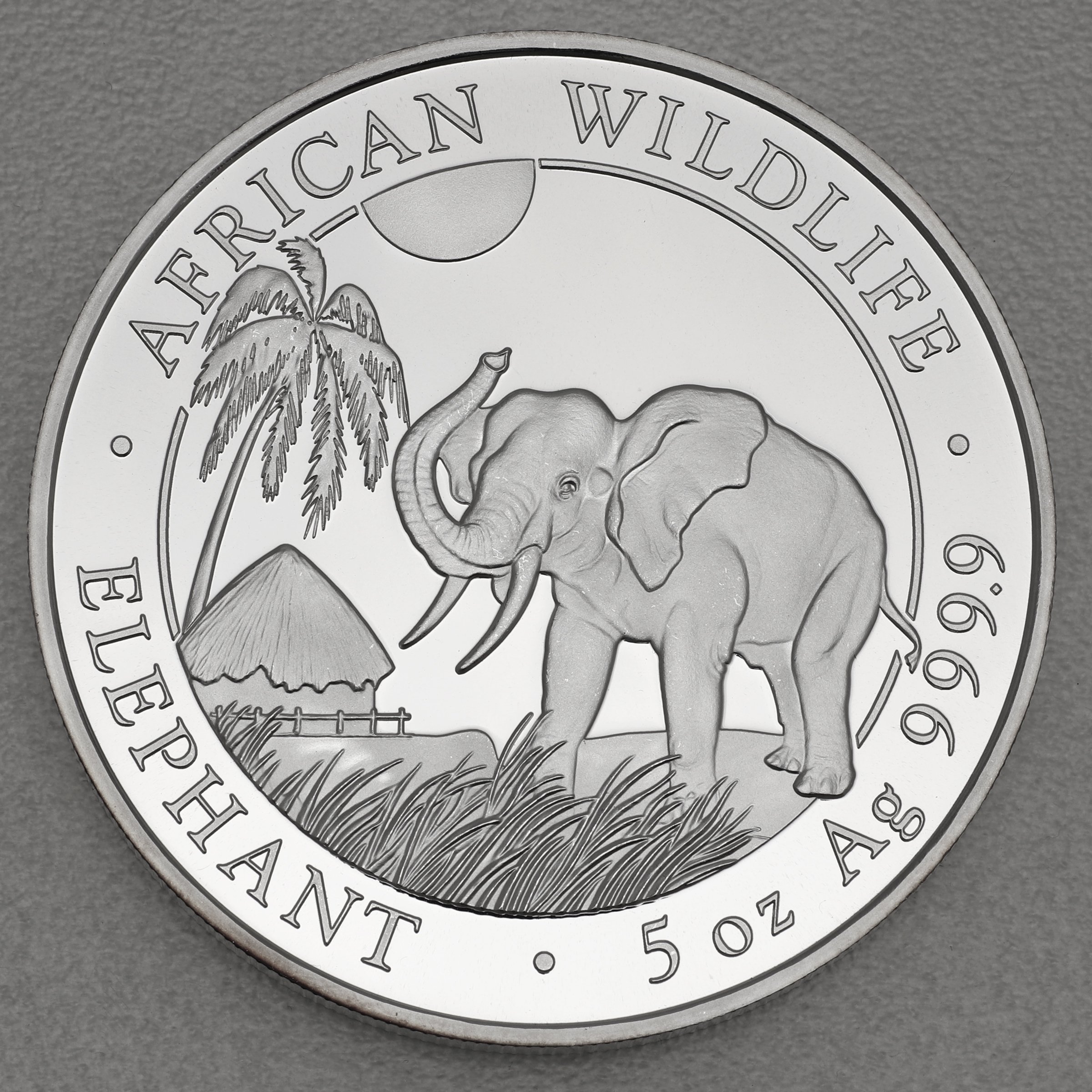 Silbermünze 5oz "Elefant" 2017 African Wildlife (Somalia) - Hauptansicht