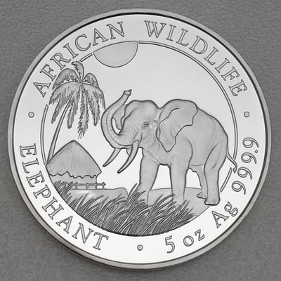 Silbermünze 5oz "Elefant" 2017 African Wildlife (Somalia) - Miniaturansicht 1