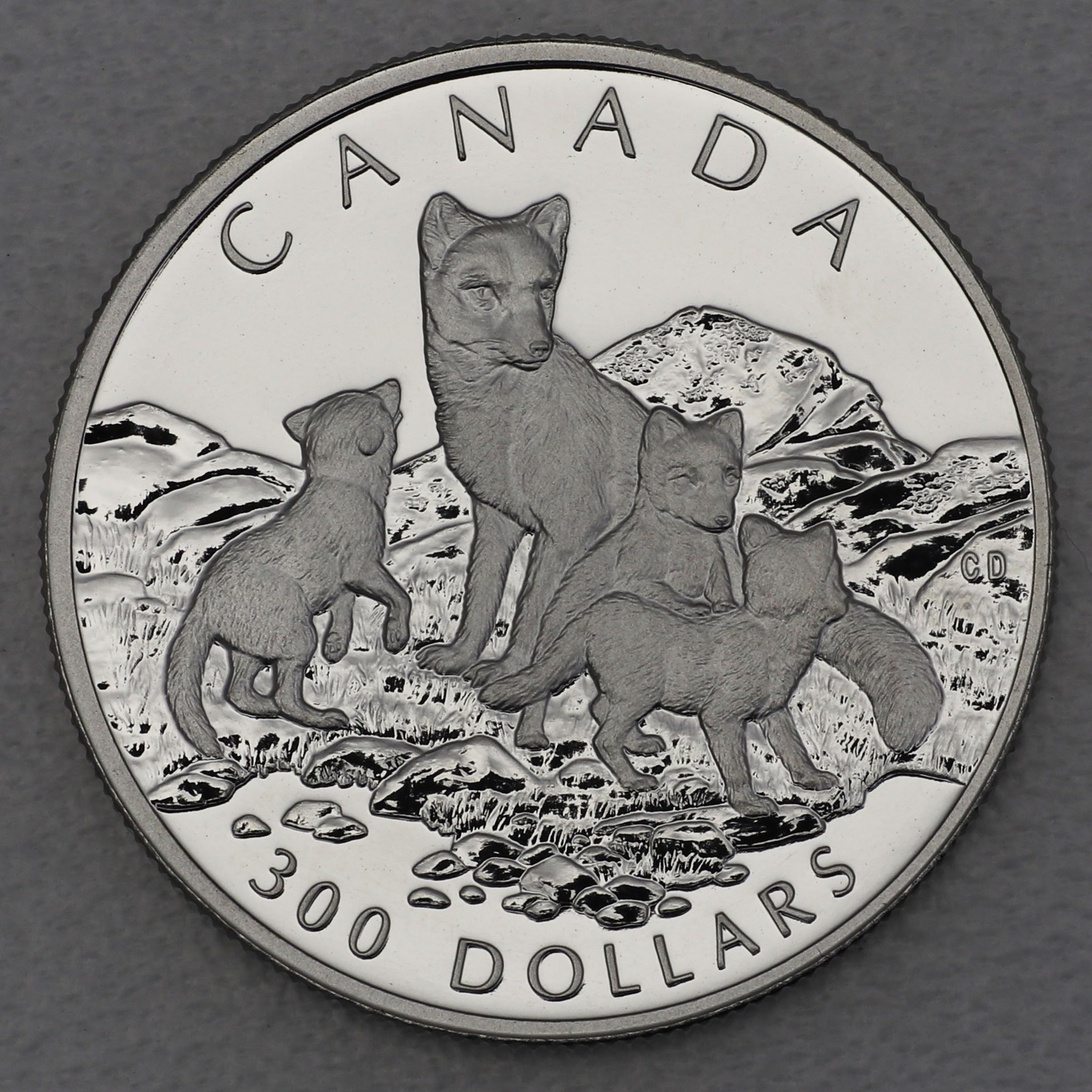 Platinmünze 1oz "Arctic Fox" 1993 Wildlife Canada (Kanada) - Hauptansicht