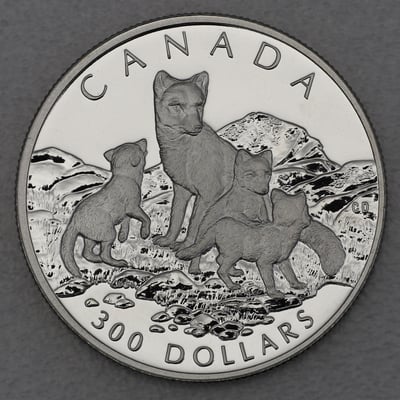 Platinmünze 1oz "Arctic Fox" 1993 Wildlife Canada (Kanada) - Miniaturansicht 1