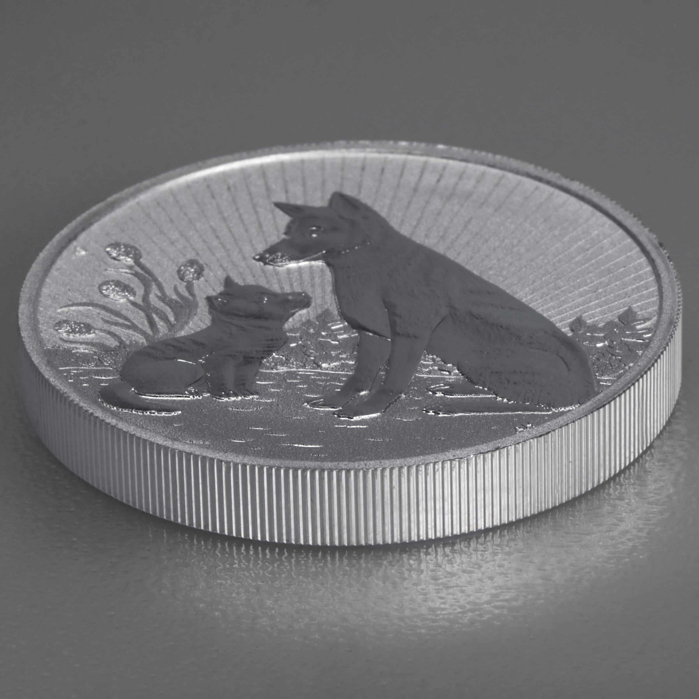Silbermünze 2oz "Mother & Baby Dingo 2022" Next Generation diff. (Australien) - Detailansicht 2