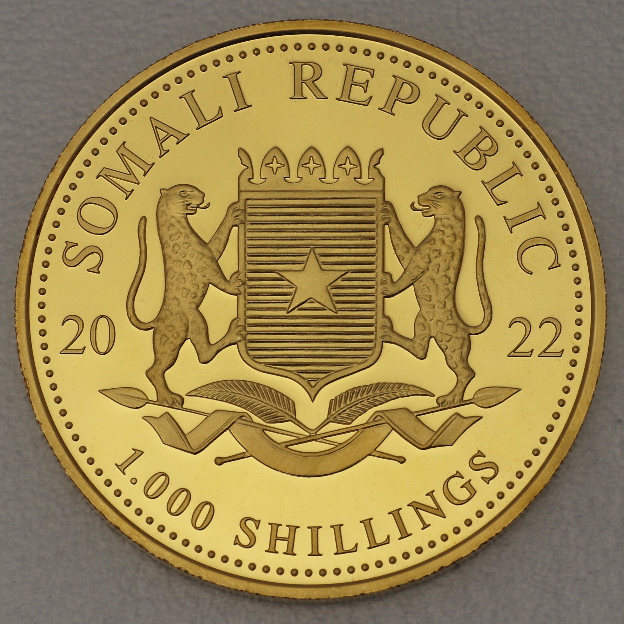 Goldmünze 1oz "Elefant" 2022 Privy Mark – African Wildlife (Somalia) - Detailansicht 1